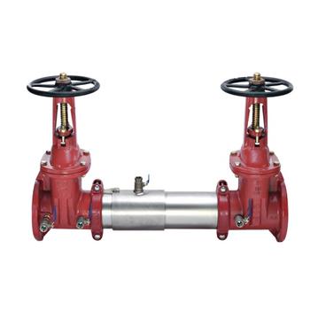 Watts 0111536 Double Check Valve Assembly 4" (757-BFG)