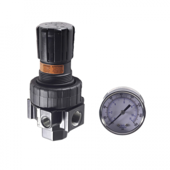 Watts 06R318AC Regulator 1/2" 0-125 psi