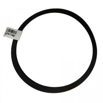 Bell & Gossett P57700 Volute Gasket For 8-Bolt Volute