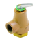 Raypak 007220F Pressure Relief Valve 45 PSI