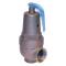 Conbraco 10-617-09 Hot Water Relief Valve 1-1/2" x 2" 45psi 4974000Btu