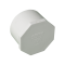 DiversiTech 5-449030 PVC Plug (Slip) 3"