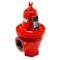 Bell & Gossett 110081 Pressure Relief Valve