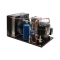 Copeland Compressor M6KP-0106-TAC-072 Condenser 208-230V 3-Phase