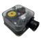 Dungs 217-324A Gas Pressure Switch Modular Mount A2 Series GMH-A2-4-6 12" to 60" W.C.