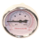 Honeywell GS250 Thermometer W/Sweat Brass Well
