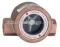 Dwyer SFI-100-1/2 Indicator Sight Flow 1/2 NPT
