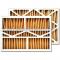 Carrier P102-1620 Replacement Filter