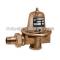 Bell & Gossett 110191 Pressure Reducing Valves
