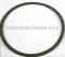 Sta-Rite N20-35 Seal Plate Gasket