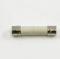 York 025-14019-000 5 Amp Fuse