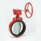 Bray Valves 12-31-119-GEAR Butterfly Valve 12" Lug with Gear Operator