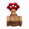 FPPI 06-810 TrimFit Bronze Globe Valve 2"