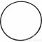 Armstrong Pumps106158-000 Body Gasket