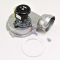Heil Quaker 1014526 Vent Blower Assembly