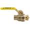 Watts 0123476 Full Port Ball Valve Cap And Chain 1/2" LFFBVS-3C-CC