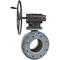 Watts 0820917 Full Port Flanged Ball Valve With Test Cock G4000-TC 4"
