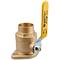 Watts 0068097 Isolation Pump Flange 1 1/4" IPFM1-S