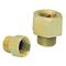 Watts 0376458 Service Check Valve 1/2" SCV