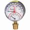 Watts 0121664 Temperature and Pressure Gauge 1/2" (LFDPTG1-3 0-75)