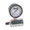 Watts 0069780 Air Test Assembly Gauge 3/4" (IWTG-GAS-2 0-30)