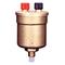 Watts 0590719 Capacity Air Vents with Manual Vent 1/8" DUO-VENT-NPT