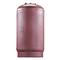 Watts 0212004 Pressurized Expansion Tank 45-Gallon ETA-80