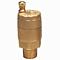 Watts 0590721 Air Vent 1" FV-4M1 150#Max