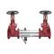 Watts 0111590 Reduced Pressure Zone Assembly 2-1/2" (957N-OSY)