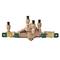 Watts 0099903 Reduced Pressure Zone Assembly 1/2" (009-QT-CT)