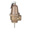Watts N240X-9 Temperature and Pressure Relief Valve