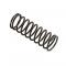 Actaris CL34 Black Replacement Spring 5-14 PSI